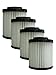 (4) Royal Dirt Devil Aspire F22/F26 Pleated HEPA w/activated Charcoal Vacuum Filter, Express Aspire, Featherlite Vacuum Cleaners, 1LV1110000, M084590, 084590