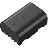Panasonic DMW-BLF19 Lithium-Ion Battery Pack (Black)