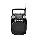 Supersonic SC-1390BT Bluetooth 4 Band Radio, Portable Lightweight AM/FM/SW1-2 Bands w/Built-in BT Compatible for BT Enabled Devices, USB/SD/AUX Input, Rechargeable Battery & Carrying Handle (Black)