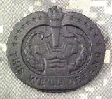 Drill Instructor Badge - Metal Insignia - Black