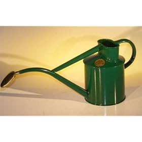 Bonsai Boy's Green Metal Watering Can - 2 Pints
