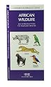 African Wildlife