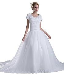 Short Sleeves Organza/Silk  Beaded Evening Dress  with a Chapel Train  With Ruffles