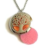 Diffuser Necklace, Denee Aromatherapy Essential Oil Diffuser Necklace Jewelry, Hypo-Allergenic 316L Surgical Grade Stainless Steel Locket Pendant with 24