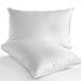 Linens Limited White Goose Feather And Down Pillows, Pair
