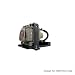 PHILIPS TDP-LD1 Projector Lamp with Housing