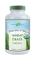 Amazing Grass Organic Wheat Grass Tablets, 200-Count Bottle