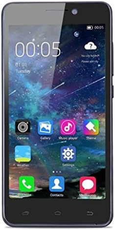 AXGIO Wing W2 5 Inch HD Touchscreen Android 4.2.2 Quad Core 3G Unlocked Smart Phone Champagne