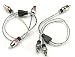 StreetWires ZeroNoise 7 - Audio splitter - RCA (M) - RCA (F) (pack of 2 )
