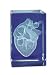 3B Scientific MedArt Glass Blocks Heart