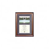 Central Florida Knights Suede Mat Diploma Frame with Lithograph