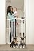 Pet Supplies : Extra Tall Security Gate in White with 2 Free extensions