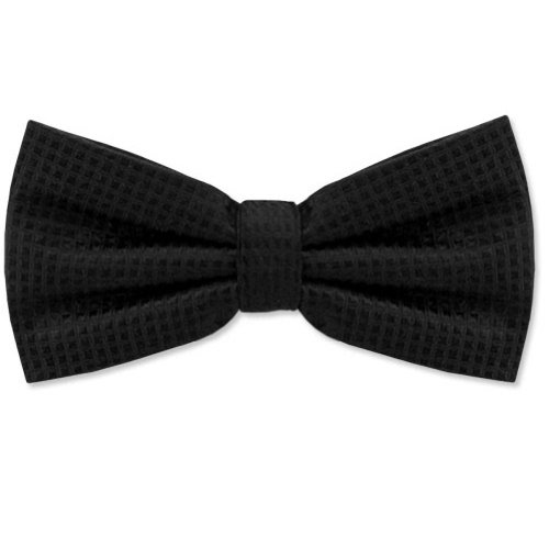 Men's Revitalize Pretied Silk Bowtie by Principessa in Your Choice of Colors