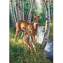 WHITE-TAILED DEER PAINT BY NUMBER