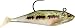 Sporting Goods : Storm 2009 WildEye Swim Shad 3" and 4" Swim Baits Size: 3"; Color: Baby Bass (BB)