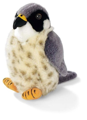 Buy Audubon Bird 5in Plush Peregrine Falcon by Wild Republic now!