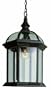 Trans Globe Lighting 4183 BK 19-Inch 1-Light Outdoor Hanging Lantern, Black
