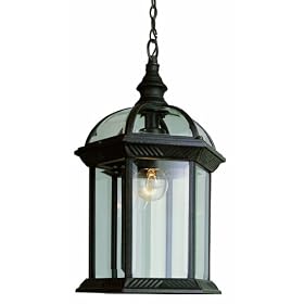 Trans Globe Lighting 4183 RT 19-Inch 1-Light Outdoor Hanging Lantern, Rust by Trans Globe Lighting