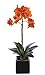 House of Silk Flowers Artificial 17-Inch Phalaenopsis Orchid, Mini, Paprika Orange