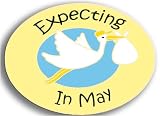 Stork Pin - Expecting In May