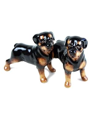 Rottweiler Handmade Salt and Pepper Shaker