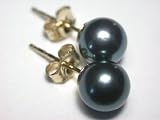 Original McPearl Akoya Perlen Ohrringe