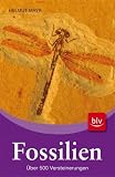 Fossilien: &Uuml;ber 500 Versteinerungen - Helmut Mayr
