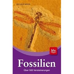 Fossilien: �ber 500 Versteinerungen
