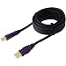 Belkin F3U133-10 Hi-Speed USB 2.0 Cable (10 Feet)