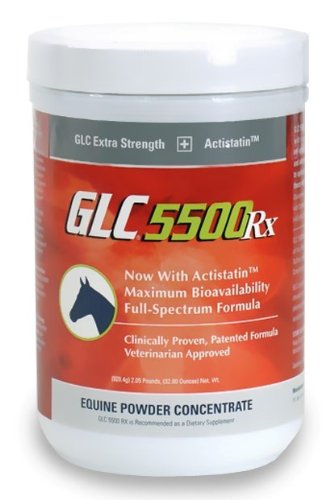 GLC 5500 Equine Powder Concentrate (2.05 lbs)