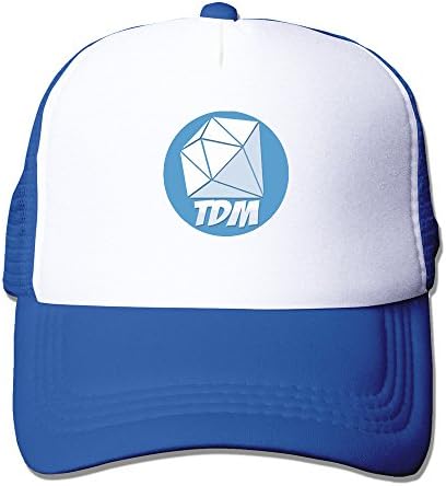 Youtube TheDiamond DanTDM Logo Unisex Adjustable Sports Snapback Mesh Hat RoyalBlue