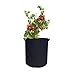 Viagrow 10 Gal. Breathable Fabric Root Aeration Pot with Handles (5-Pack), Black
