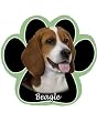 Beagle Dog Paw Mouse Pad