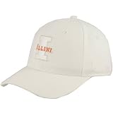 Zephyr Illinois Fighting Illini White Vortex Fitted Hat