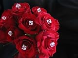 41XgW j7GOL. SL160  Baublesque Bouquet Jewelry 2 Inch Blossom Bling 10mm Swarovski Crystal Bicone 12 Floral Picks