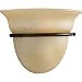 Progress Lighting P7181-77 1-Light Wall Sconce wit