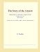 The Story of the Amulet (Webster's Chinese Simplified Thesaurus Edition)