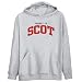 Hoodie Mens Heather Gray 