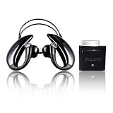 JayBird JB-200i-01 Bluetooth Stereo Headset for iPod (Black)