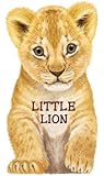 Little Lion (Look at Me Books)