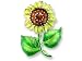 Clearly Charming Sunflower Sterling Silver And Enamel Pin