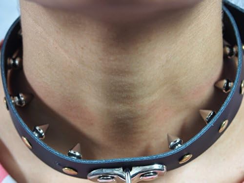 Spiked in Leather Collar
