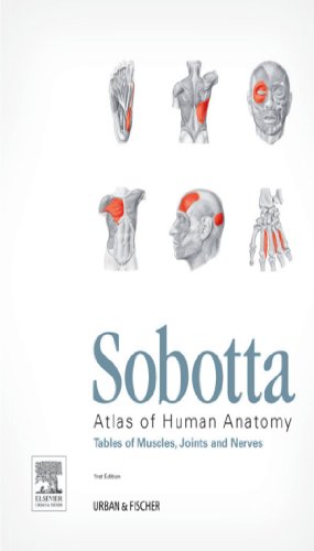 Sobotta Tables of Muscles, Joints and Nerves, English/Latin: Tables to 15th ed. of the Sobotta Atlas