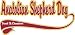 Australian Shepherd Breed of Champion T-Shirt