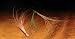 Quill Body