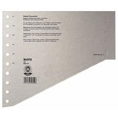 Esselte Leitz 16510085 Trennblatt, A4, gestaffelt, Karton, grau