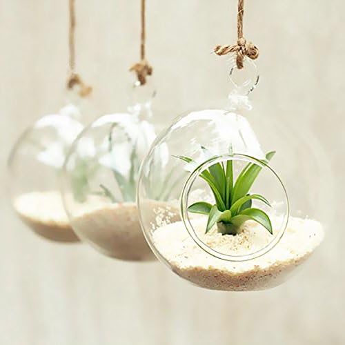 Glass Hanging Vase & Tabletop Vases Terrarium DIY Home wedding christmas Deco Transparent Diameter 10cm/4 inch VA001
