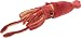 Giant Squid 10.5