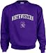 Northwestern Wildcats Kids/Youth Perennial Crewneck Sweatshirt