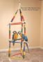 Parrot Triangles Single 18" x 36" long